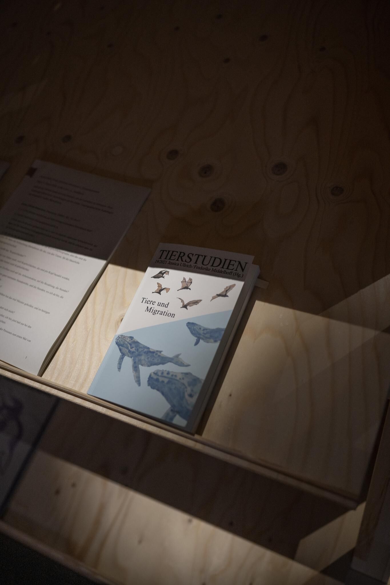 Galeriebild des Projekts Live Stock / Live Animals