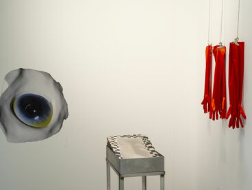 Patricia Falk, Diplom