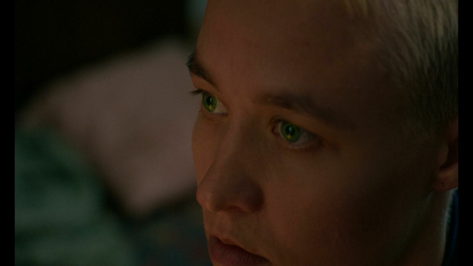 Galeriebild des Projekts Katzenbellen