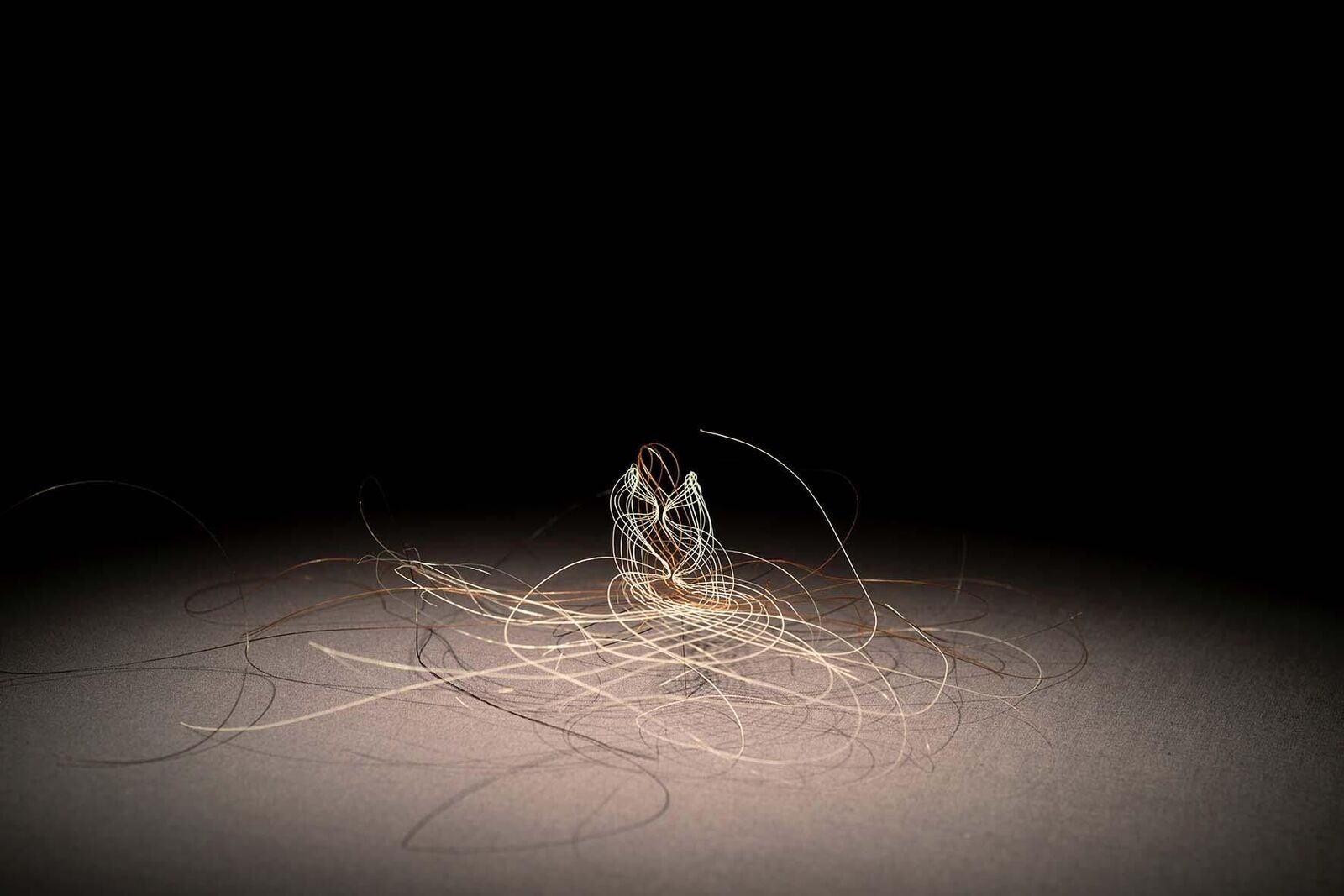 Galeriebild des Projekts «Dann kommen ja die grünen Vögel nicht mehr wieder, wenn die Kastanien weg sind»