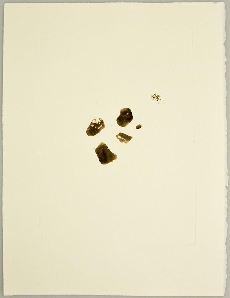 Galeriebild des Projekts asphalt