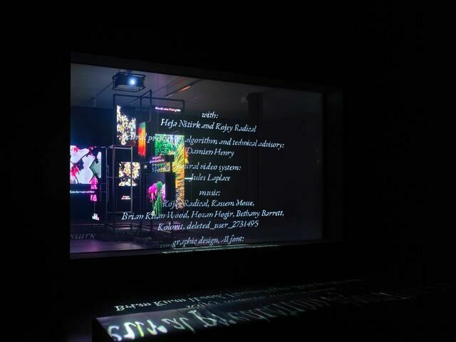 Titelbild des Projekts Das Werk Hito Steyerls (AT)