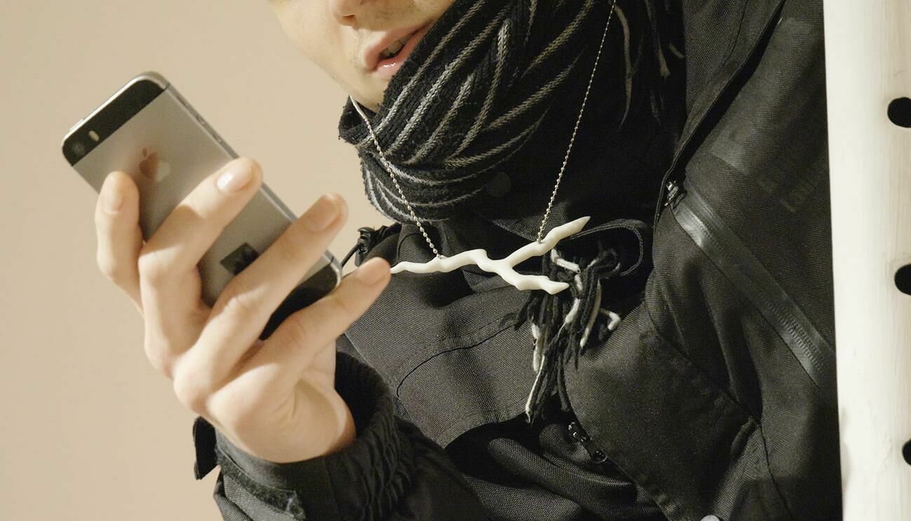 Galeriebild des Projekts Walter Palmer Shot A Lion: The Sequel