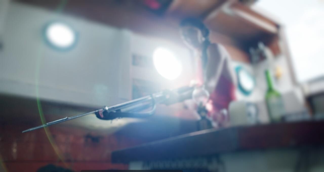 Galeriebild des Projekts Le Métèque