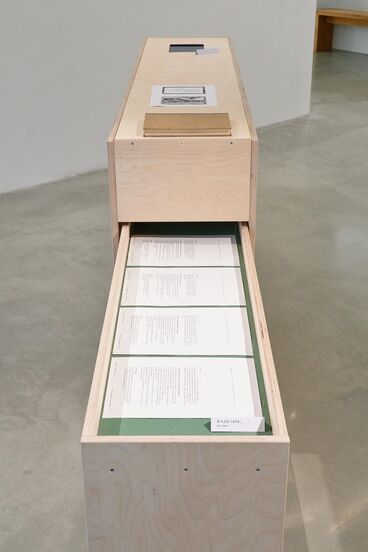 Galeriebild des Projekts Archives & Butterflies