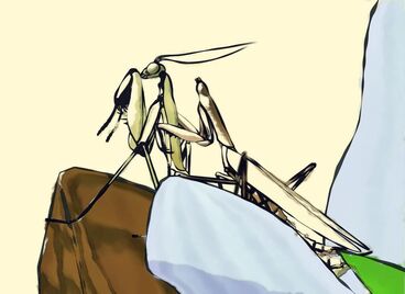 Mantis Titelbild des Projekts Mantis
