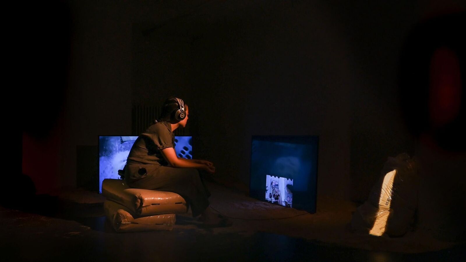 Galeriebild des Projekts Live Stock / Live Animals