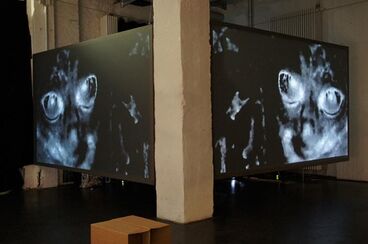 Austerlitz Galeriebild des Projekts Austerlitz