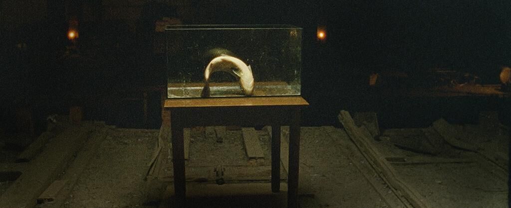 Titelbild des Projekts ELEPHANT