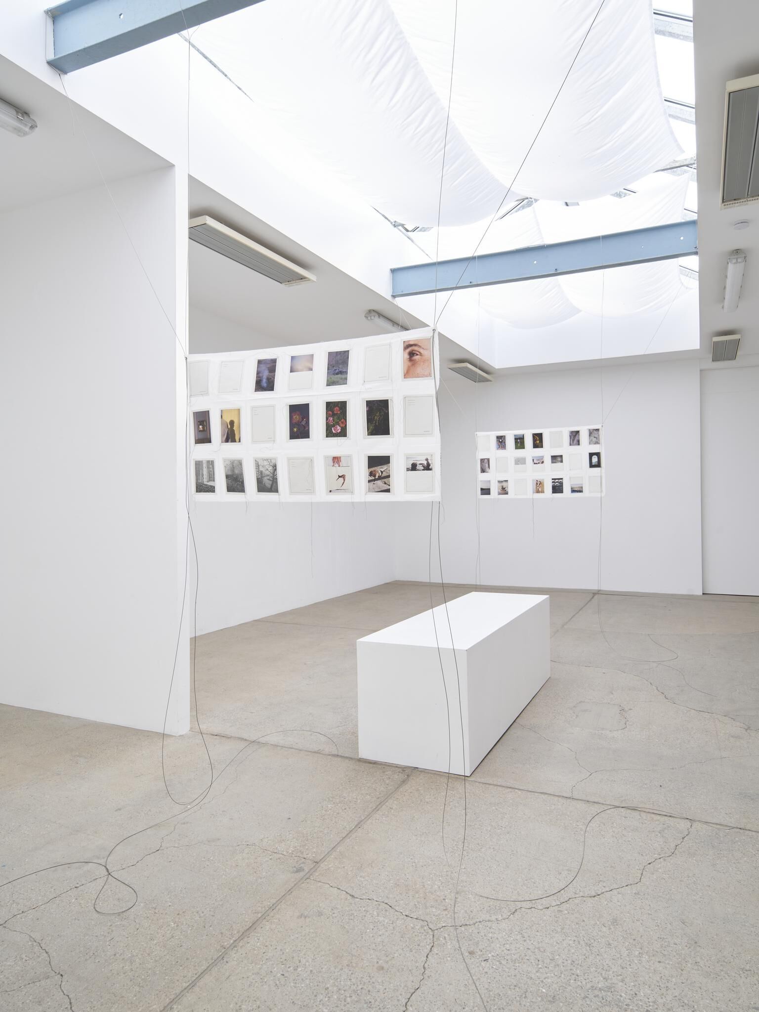 Galeriebild des Projekts IN MY HANDS - Issue 7 - An den Spitzen nur Wurzeln