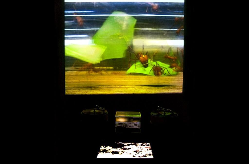 Galeriebild des Projekts 0h!m1gas