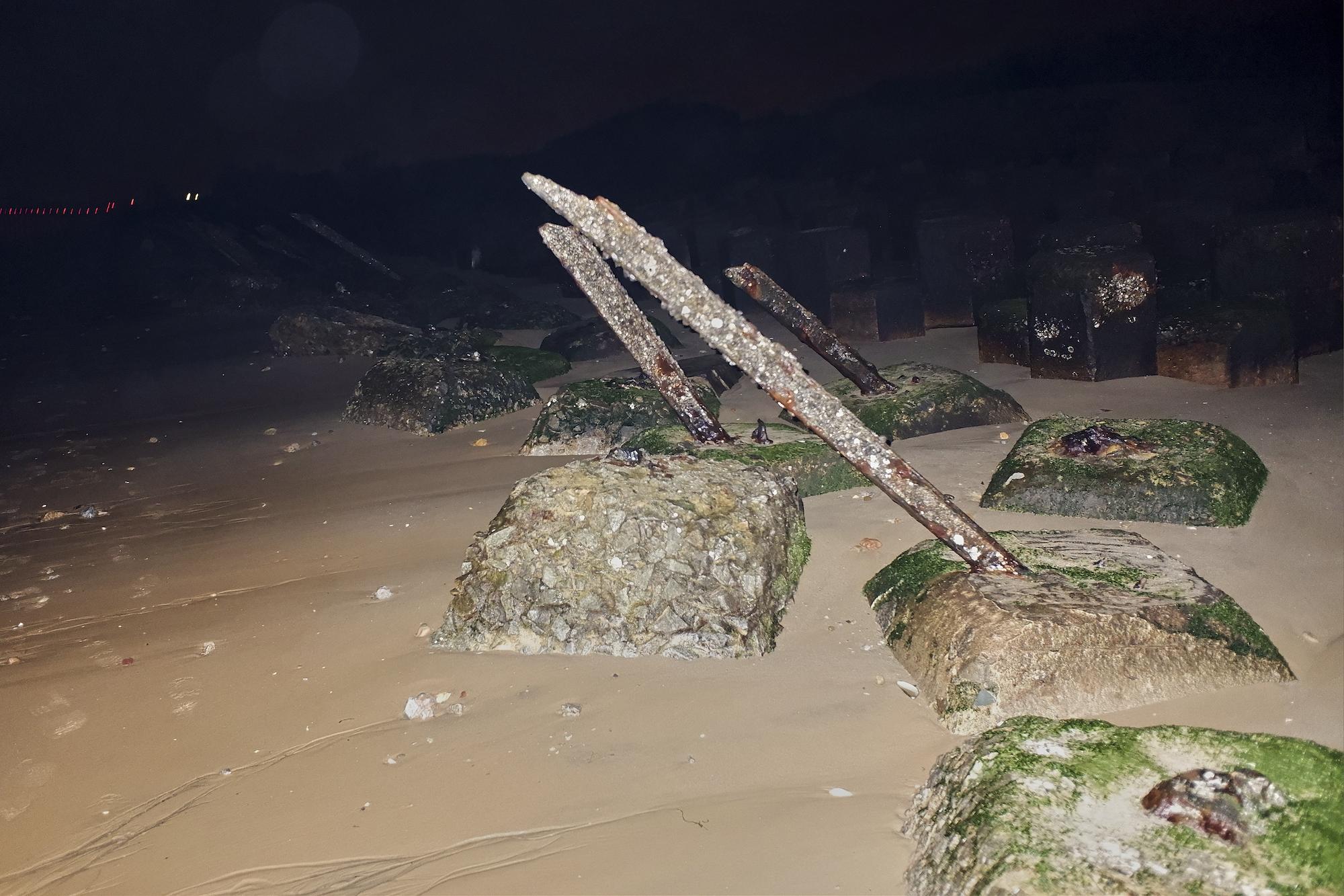 Galeriebild des Projekts Purple Thorn