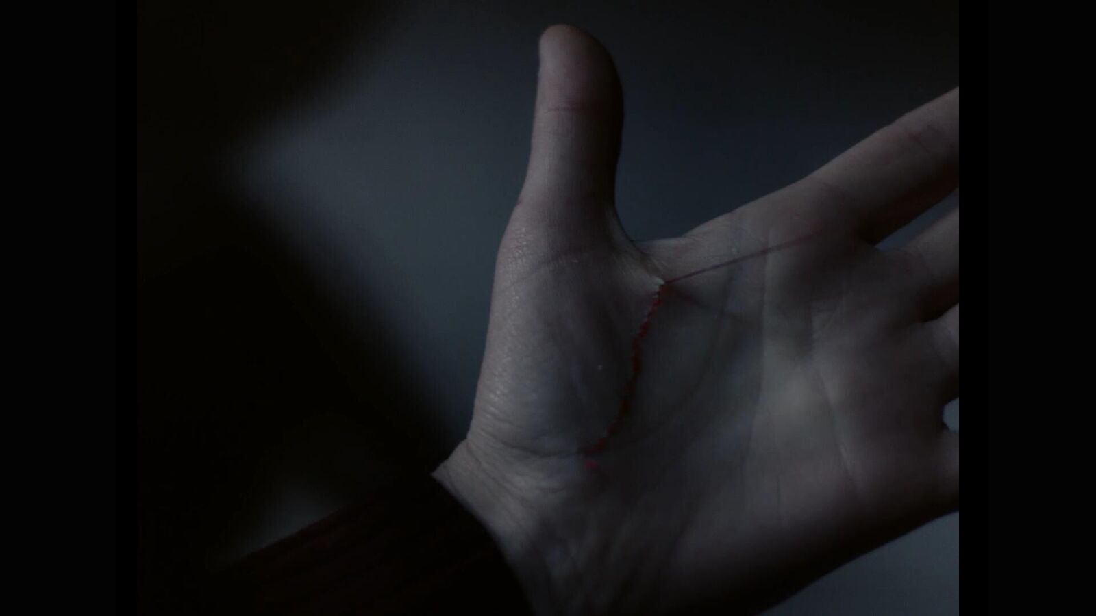 Galeriebild des Projekts On the other side of the pillow a rose was blossoming