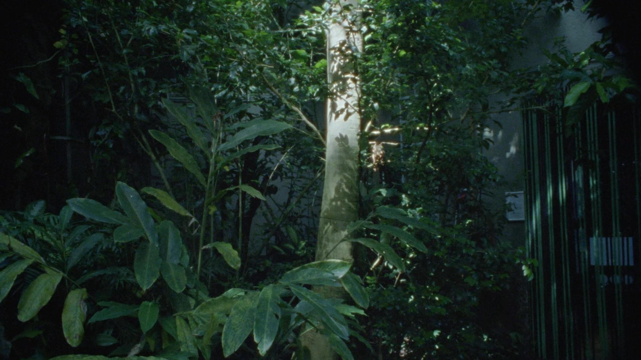 Galeriebild des Projekts Nido de Cocodrilo