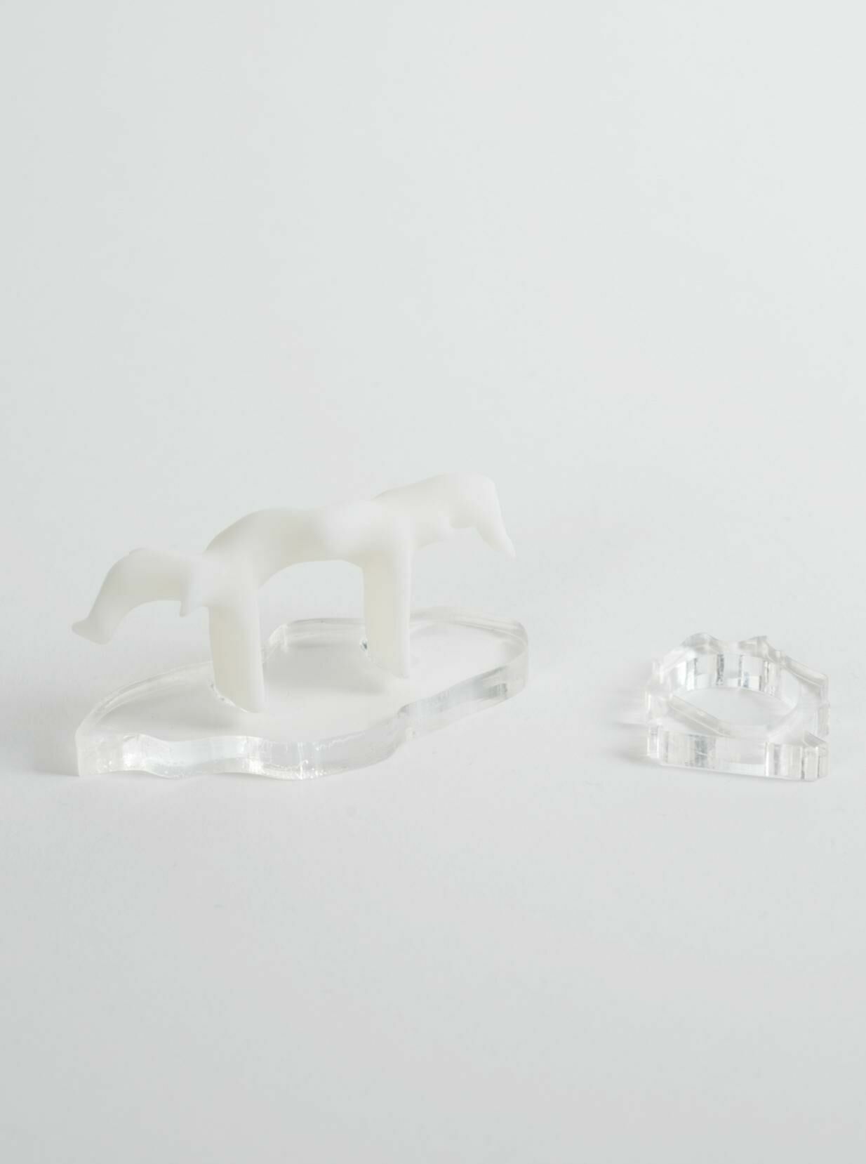 Galeriebild des Projekts Walter Palmer Shot A Lion: A Choreographic Score For The Many