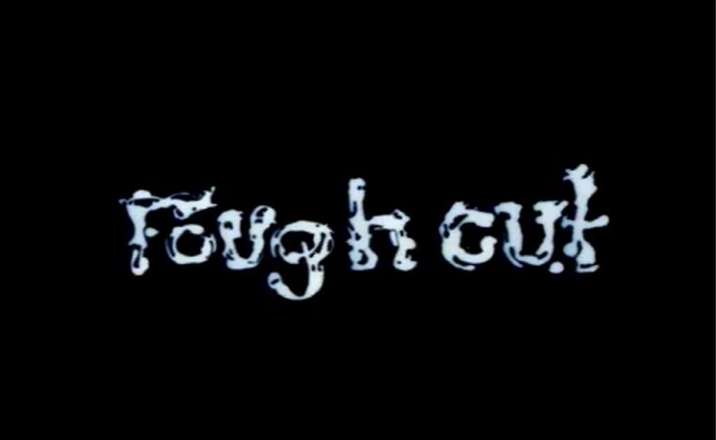 Titelbild des Projekts rough cut – die Medienmöse
