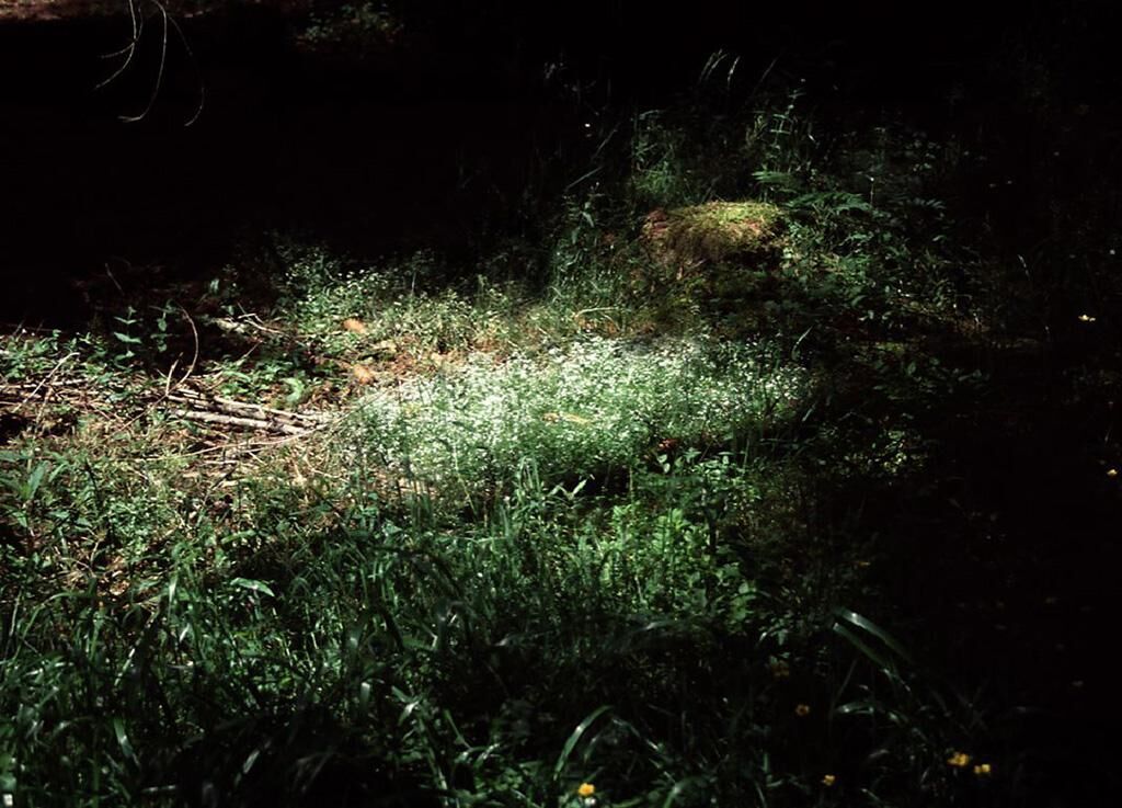 Titelbild des Projekts Harzreise