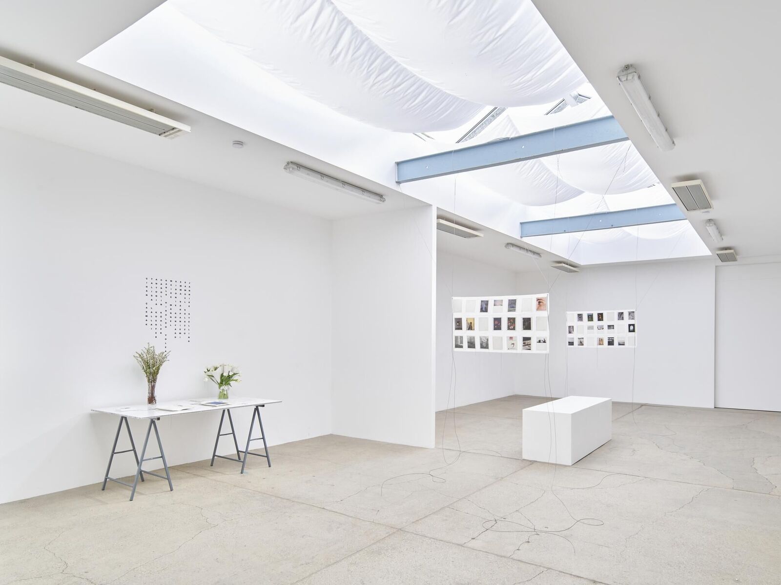 Titelbild des Projekts IN MY HANDS - Issue 7 - An den Spitzen nur Wurzeln