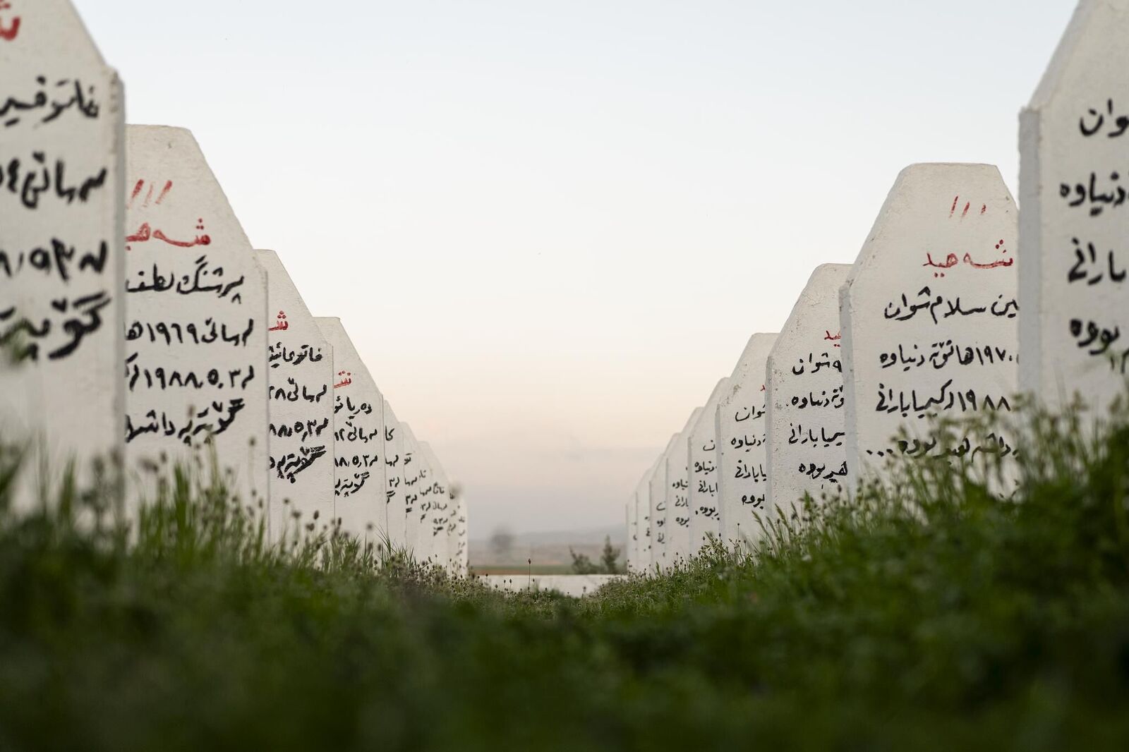 Galeriebild des Projekts places speak of genocide – kurds bring them to life