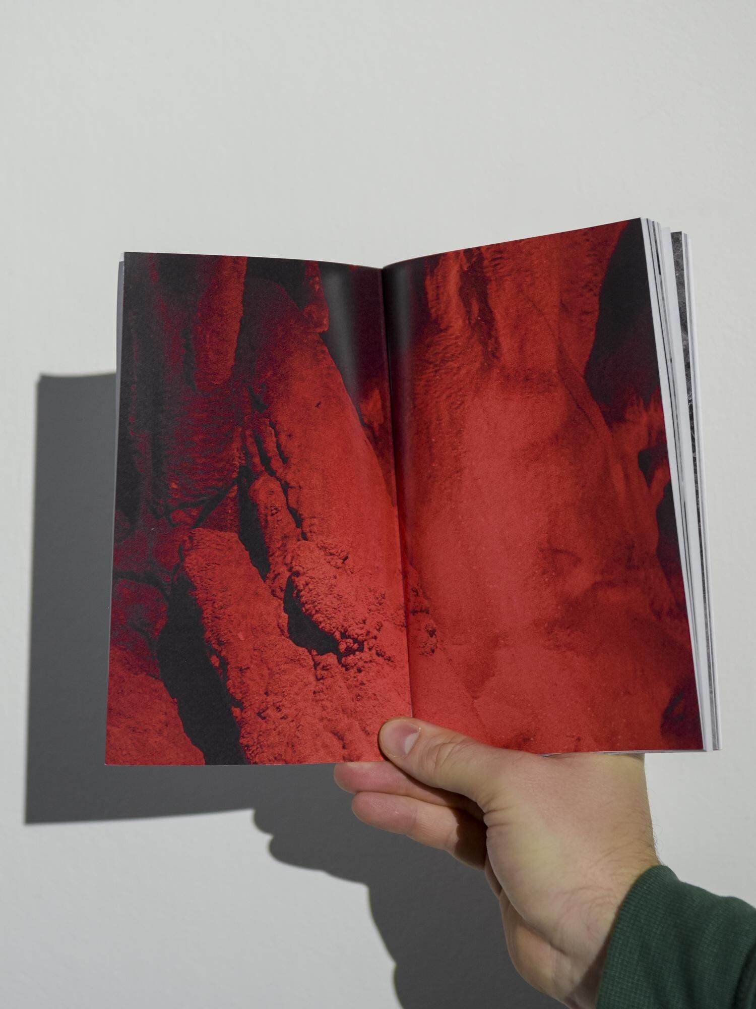 Galeriebild des Projekts Given enough eyeballs, all bugs are shallow