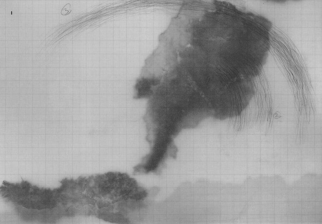 Galeriebild des Projekts Geisterangeln