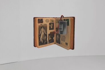 Galeriebild des Projekts The Invisible Warbler