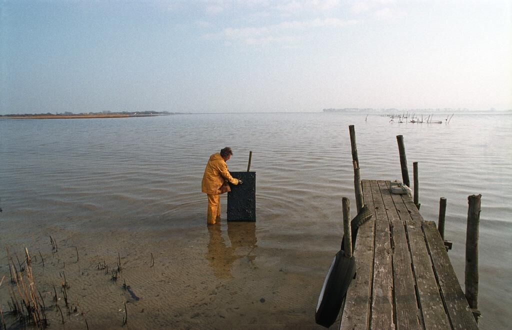 Titelbild des Projekts Rainer T. Eul - Öl auf Leinwand