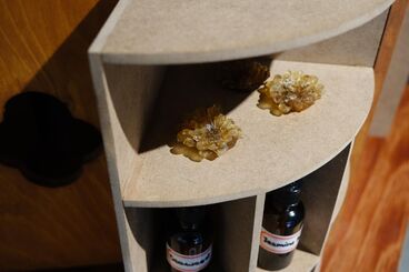 Galeriebild des Projekts Curio Box of Smells