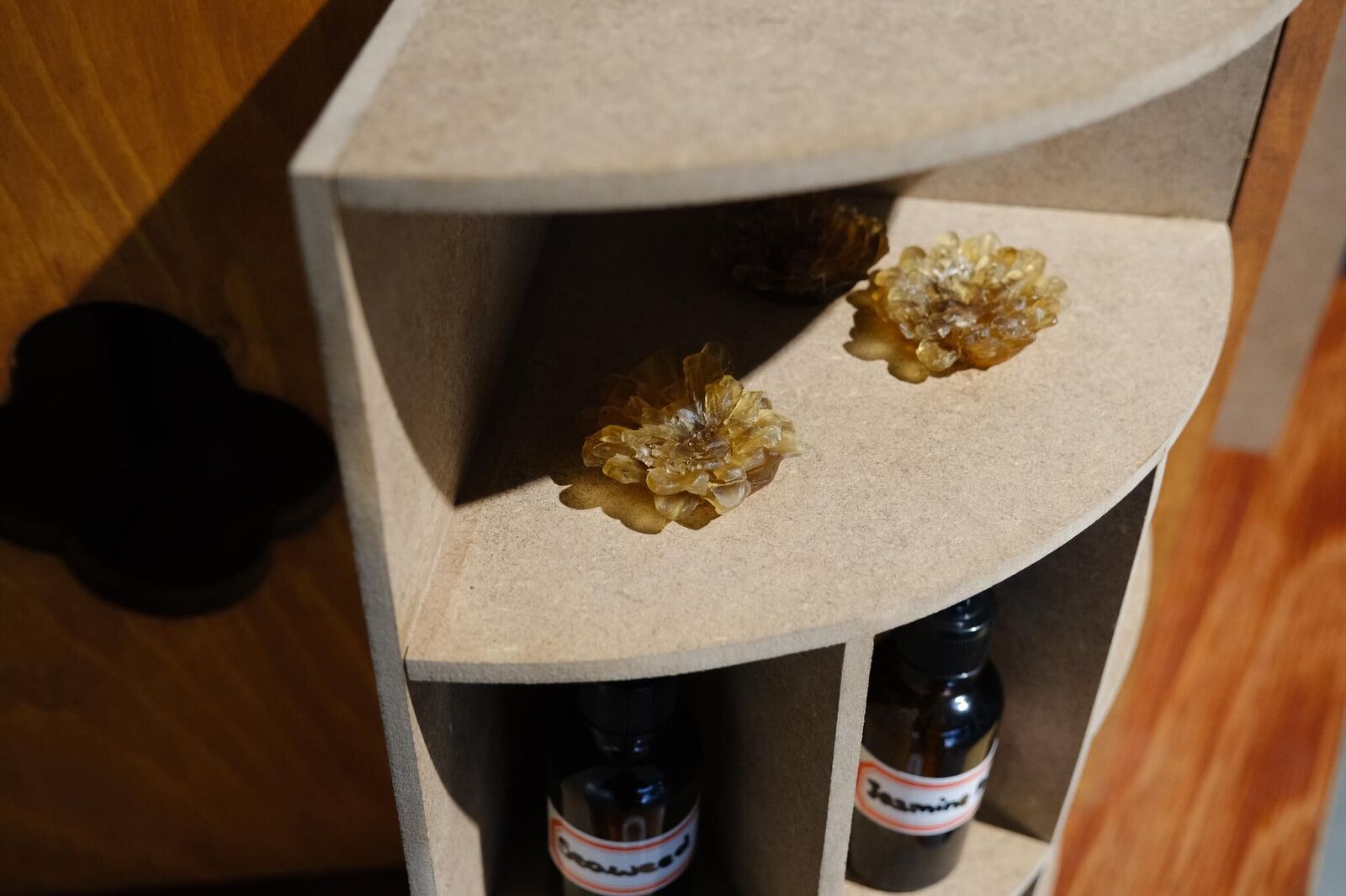Galeriebild des Projekts Curio Box of Smells