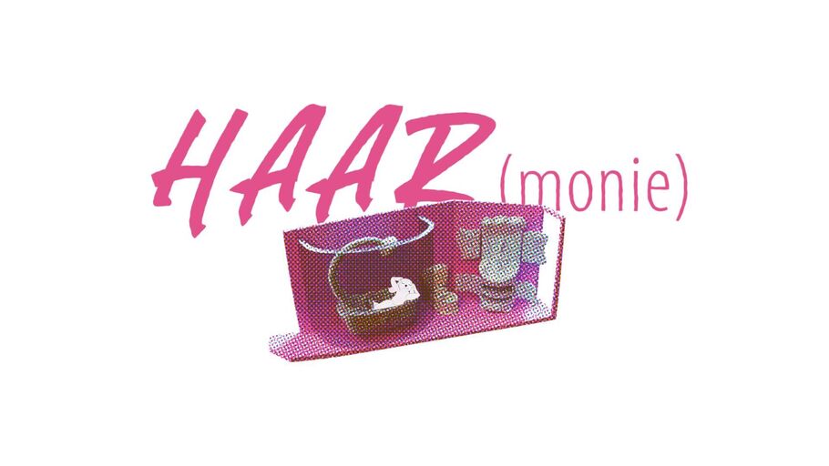 Titelbild des Projekts HAARmonie