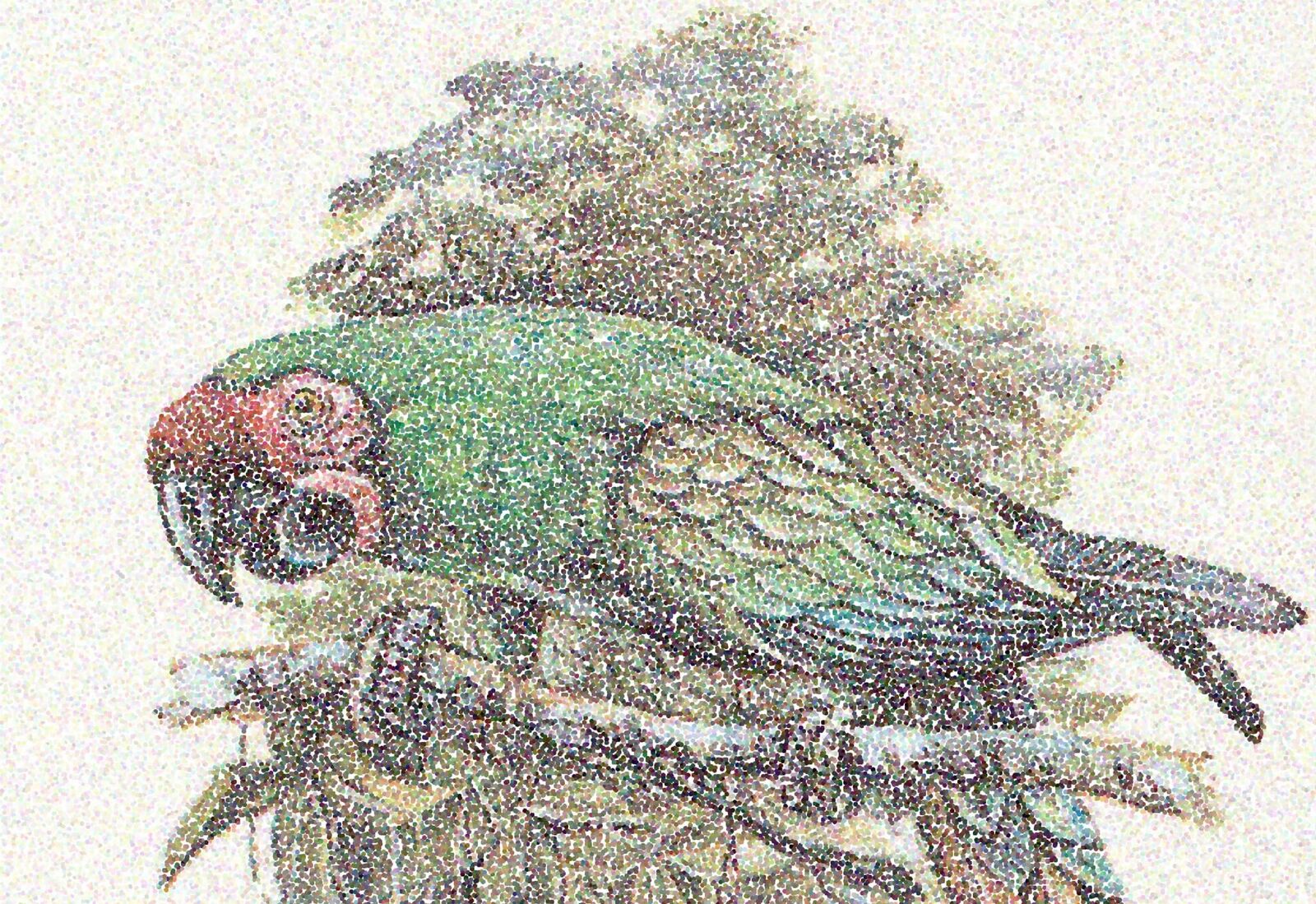 Titelbild des Projekts Maybe Montreal