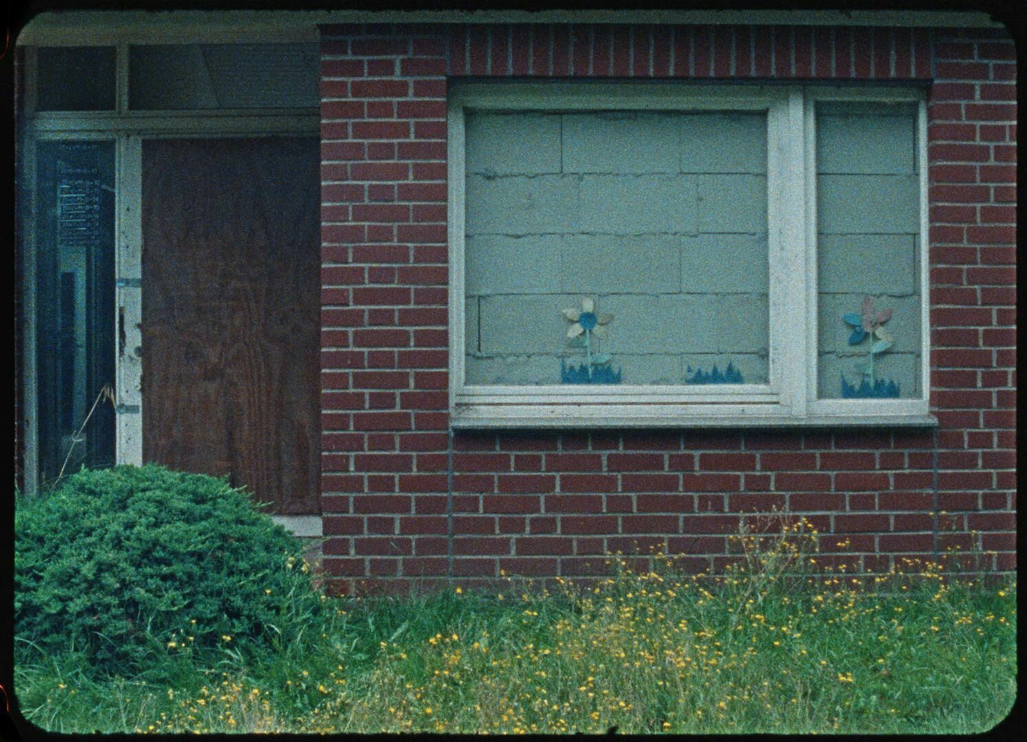 Galeriebild des Projekts Hang am Baum