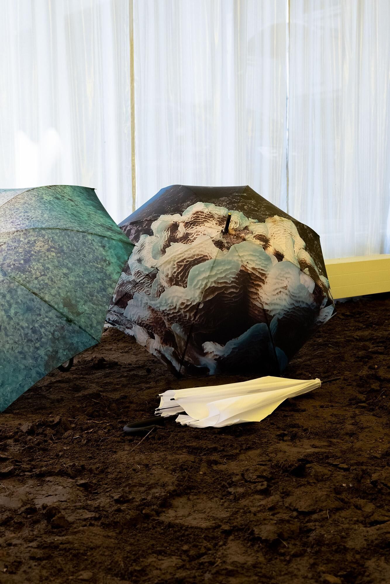 Galeriebild des Projekts HOT