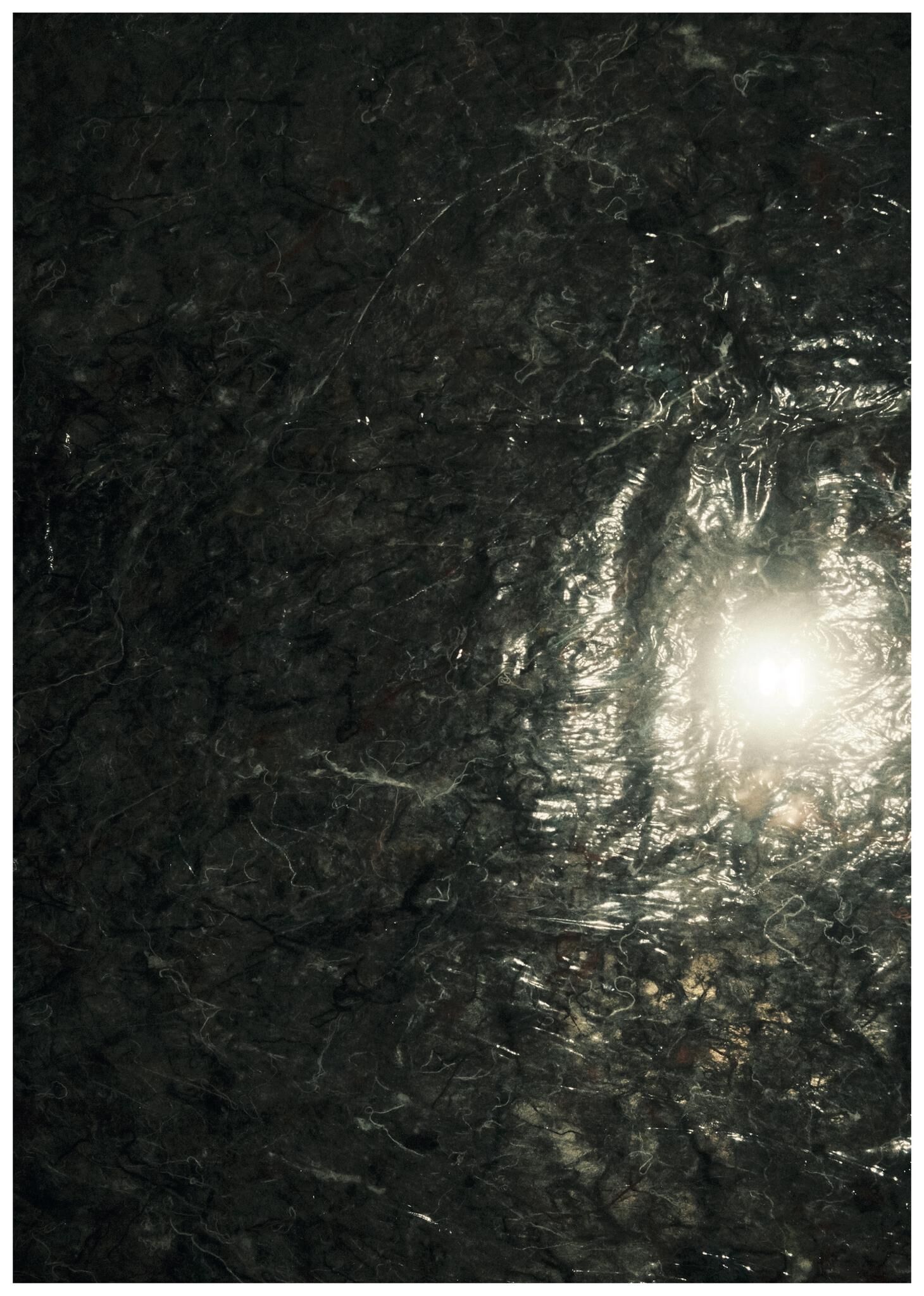 Galeriebild des Projekts FALSE SPRING