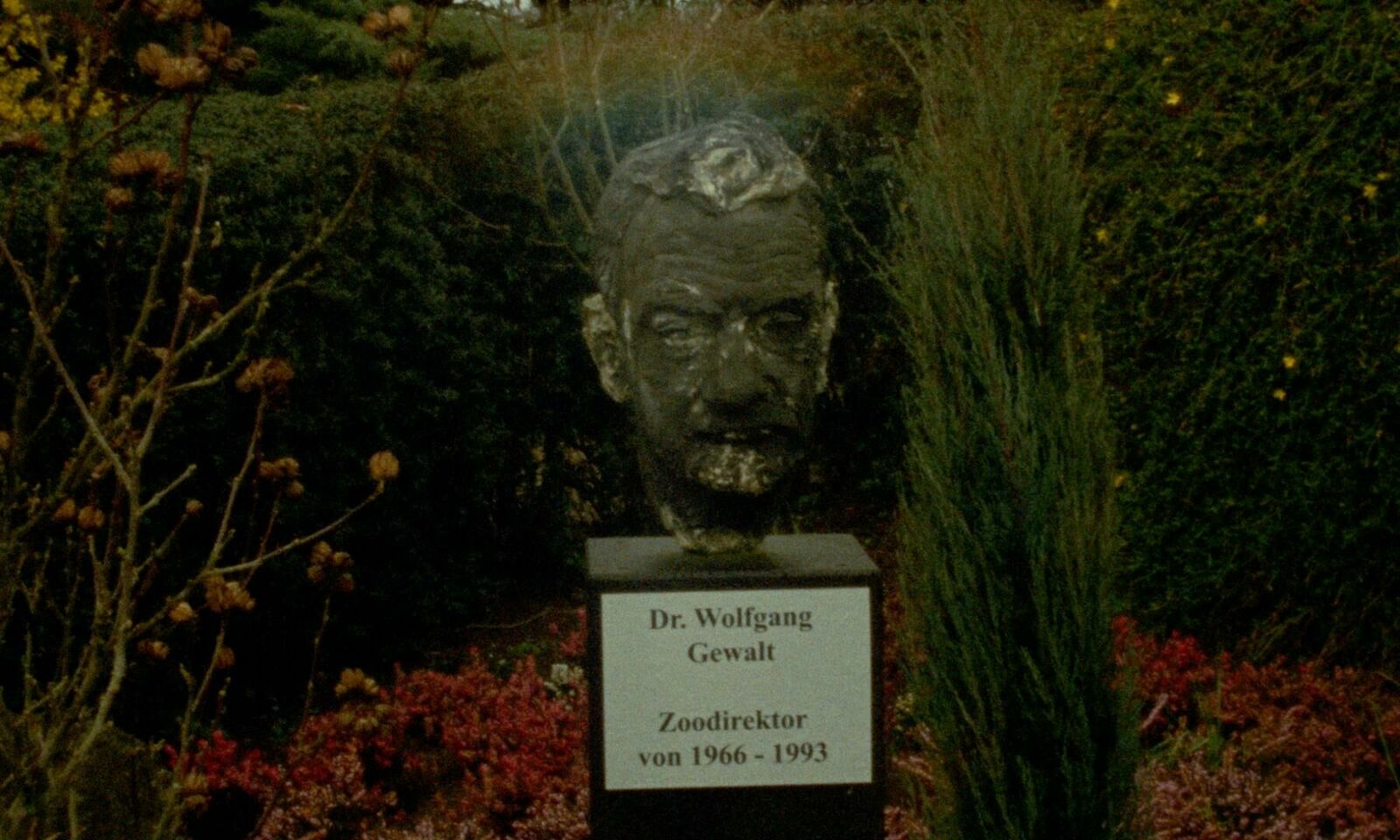 Galeriebild des Projekts The Fading Sound of Waves