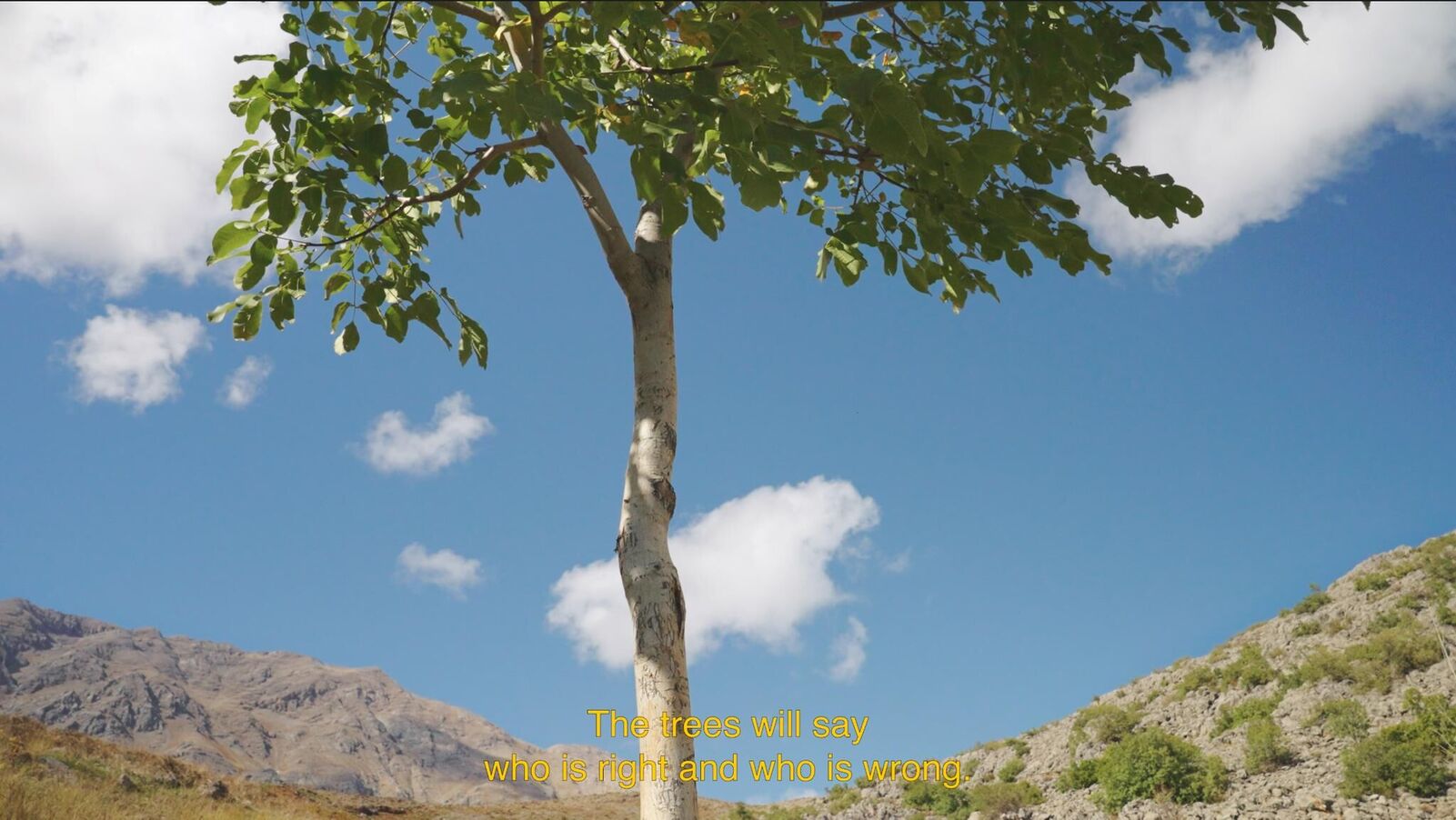 Galeriebild des Projekts You don't look nothing alike