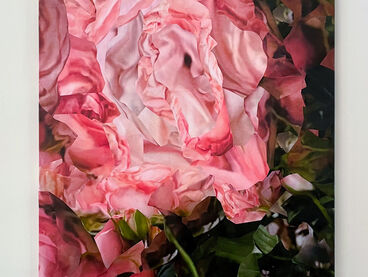 Gina Bojahr, Untitled