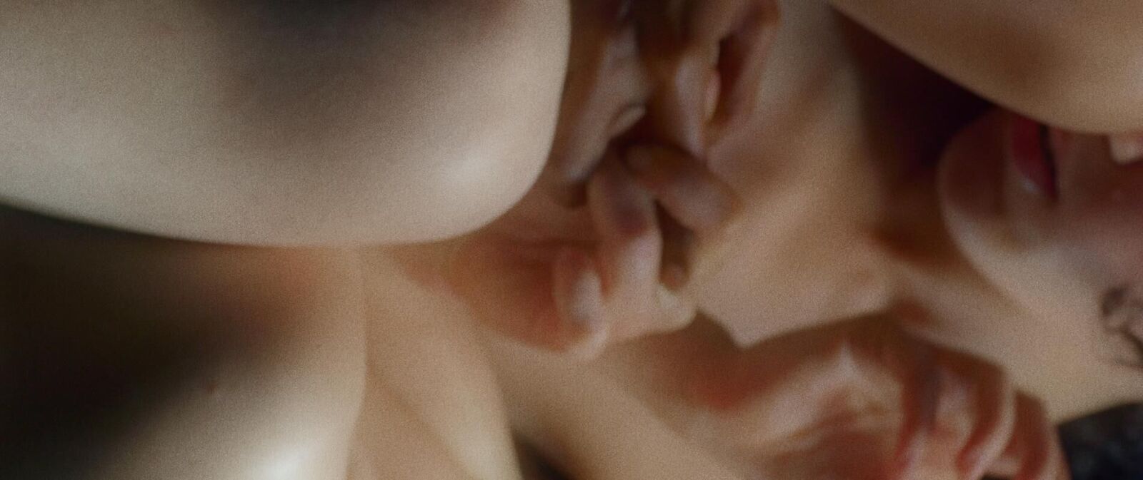 Galeriebild des Projekts Territory