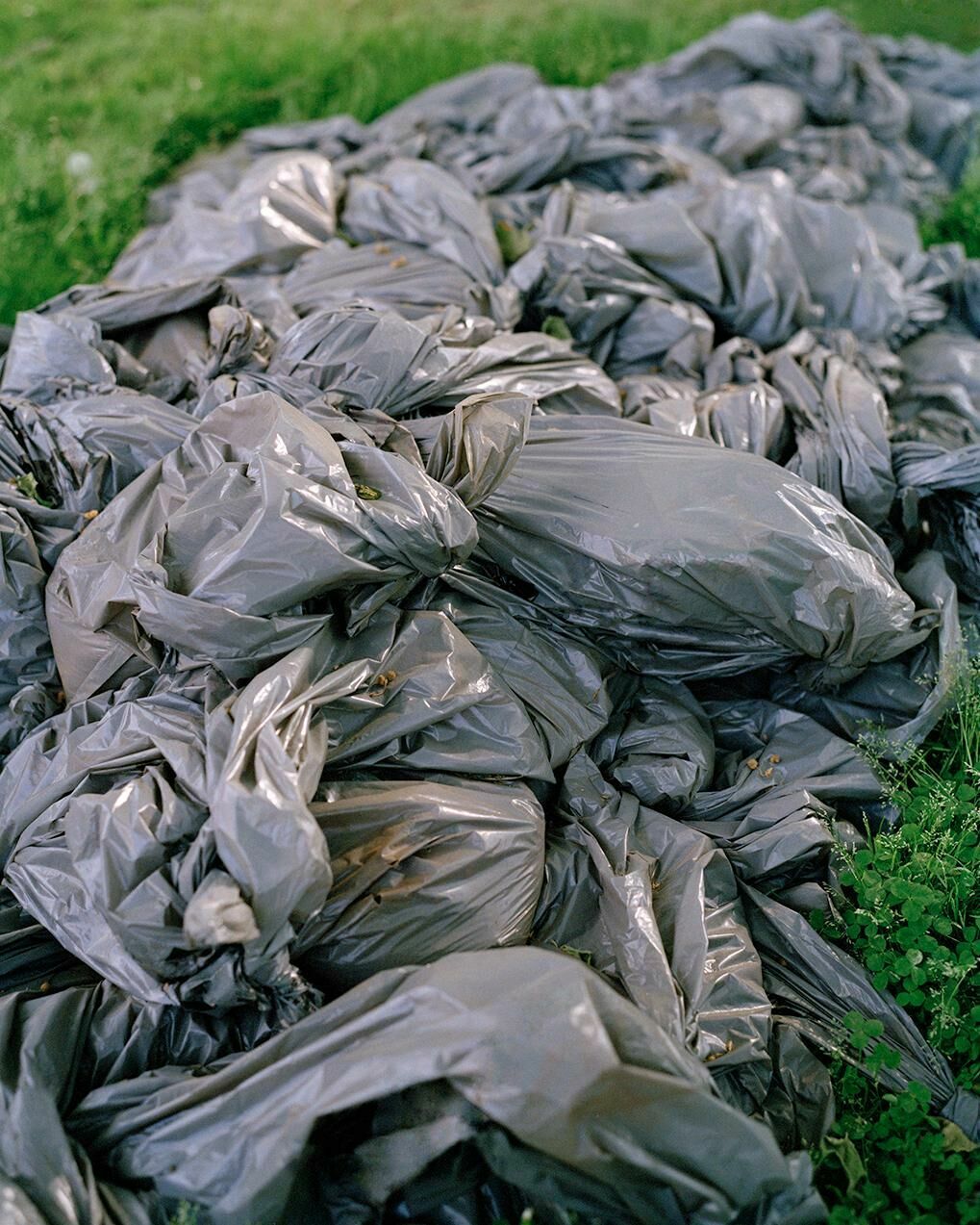 Galeriebild des Projekts Vororte und städtische Randgebiete