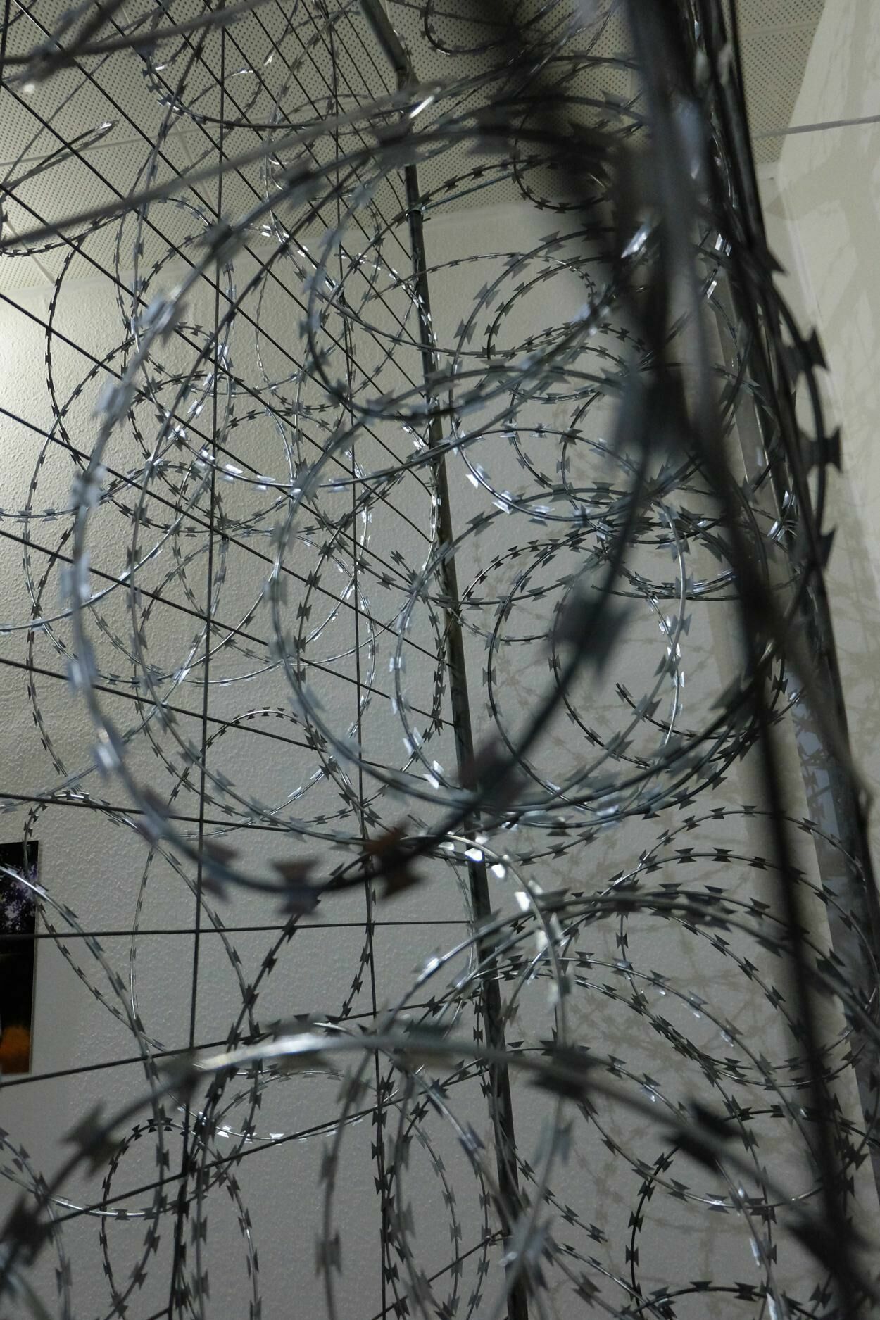 Galeriebild des Projekts Der Zaun