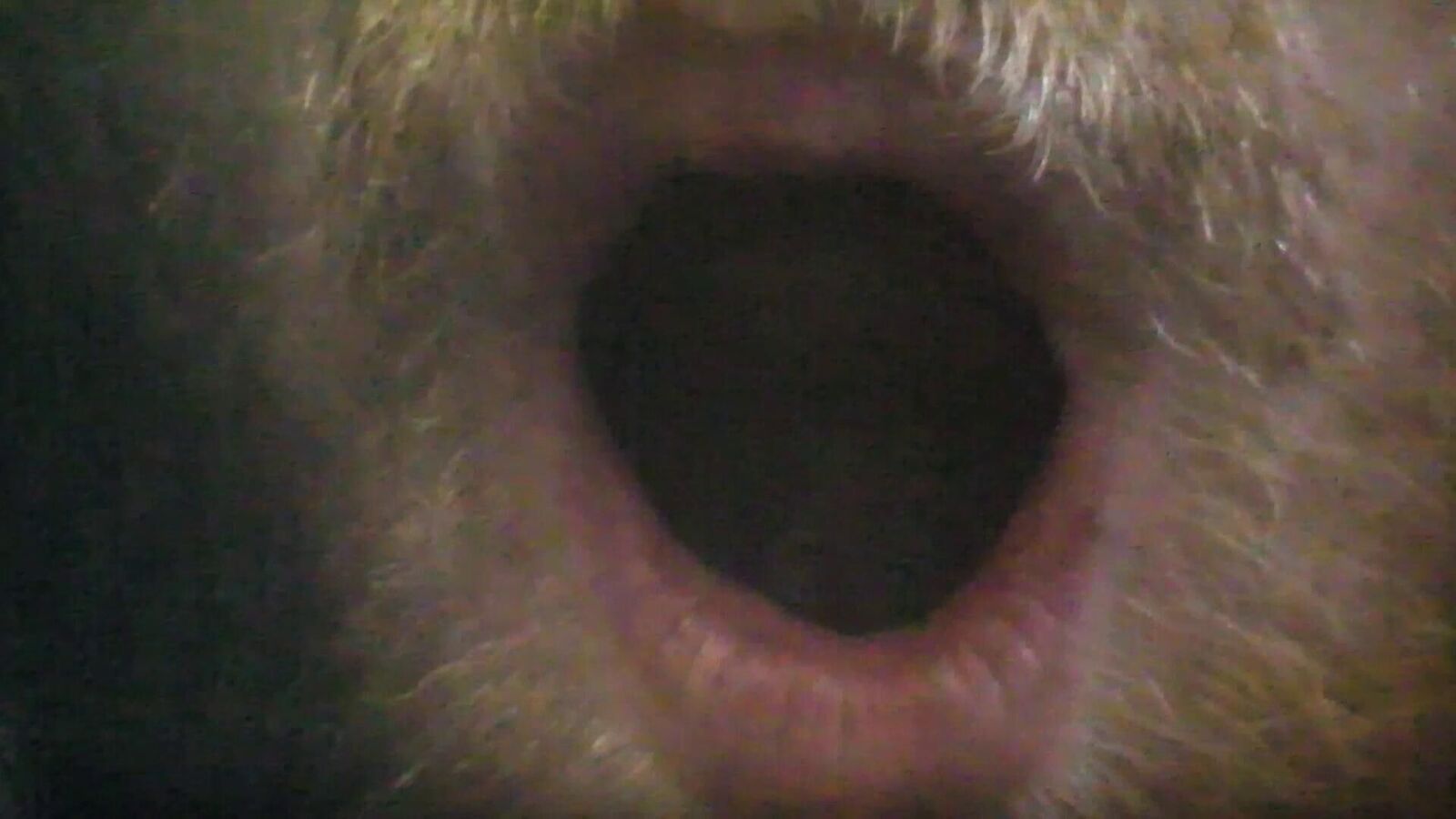 Galeriebild des Projekts Bitte nicht kotzen