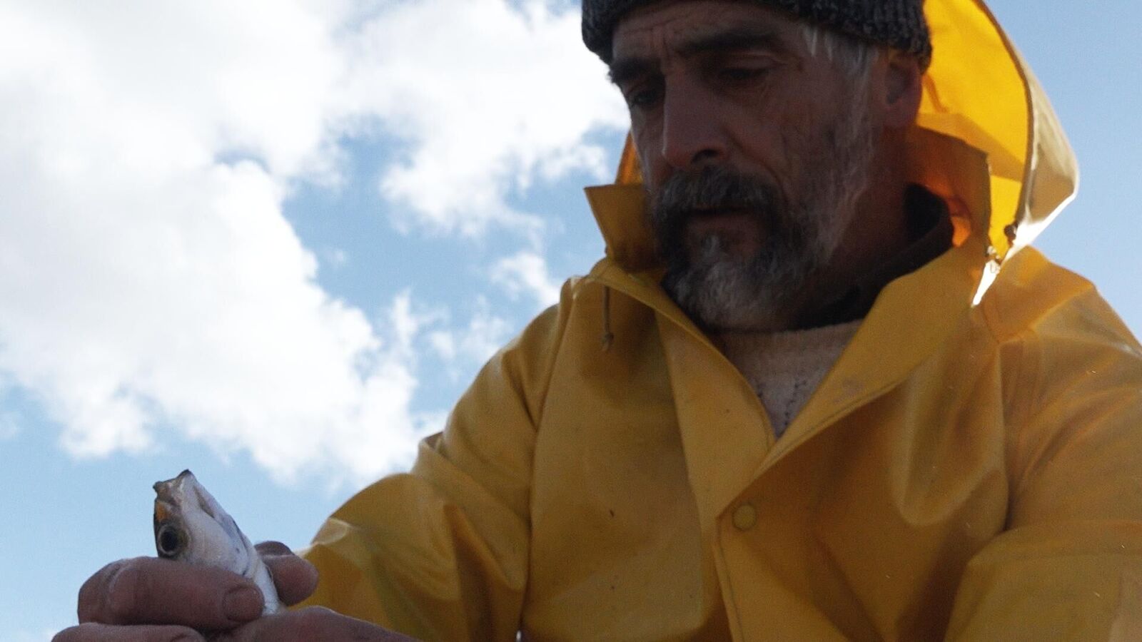 Galeriebild des Projekts Mit den Gedanken beim Meer