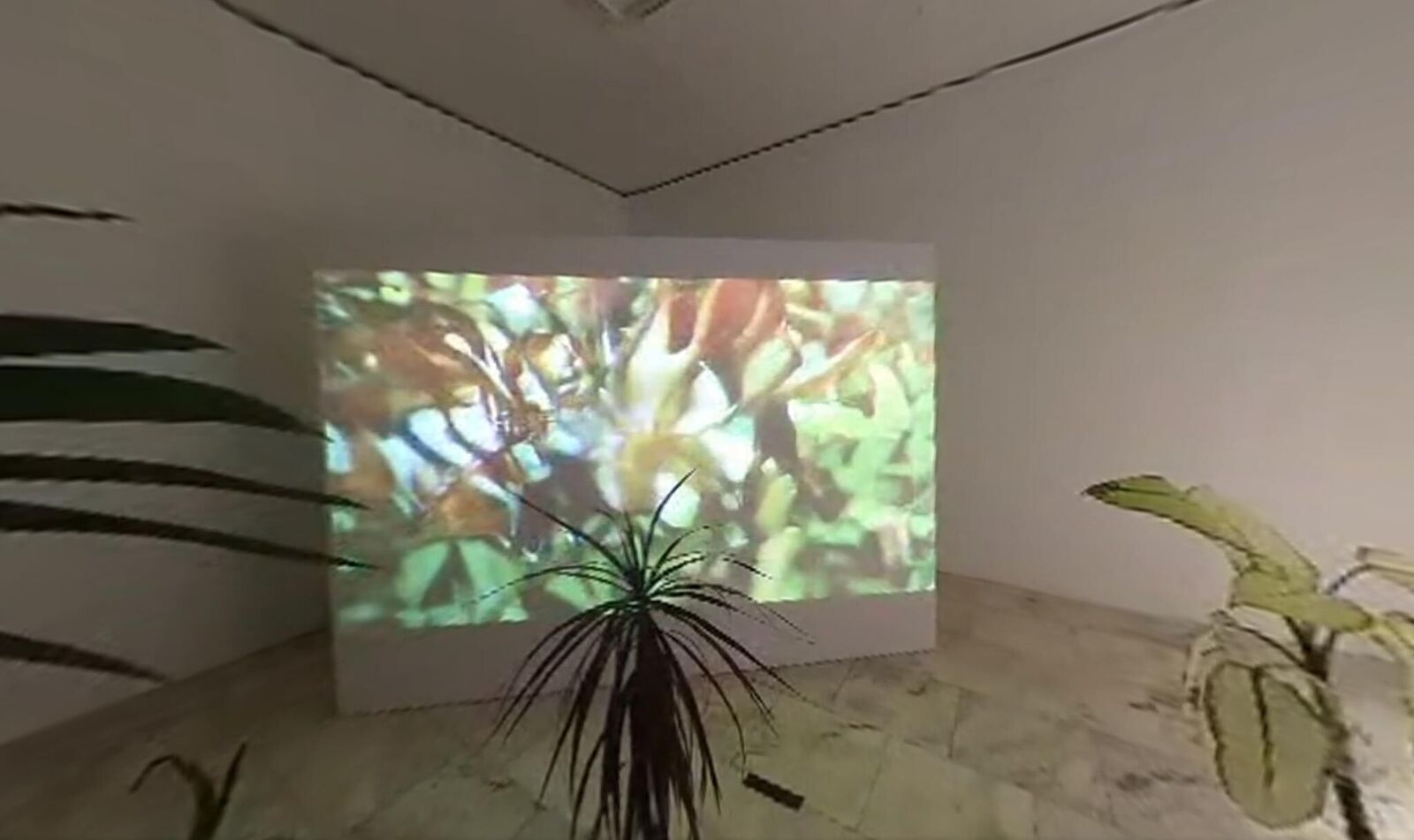 Galeriebild des Projekts Svan/Nectar