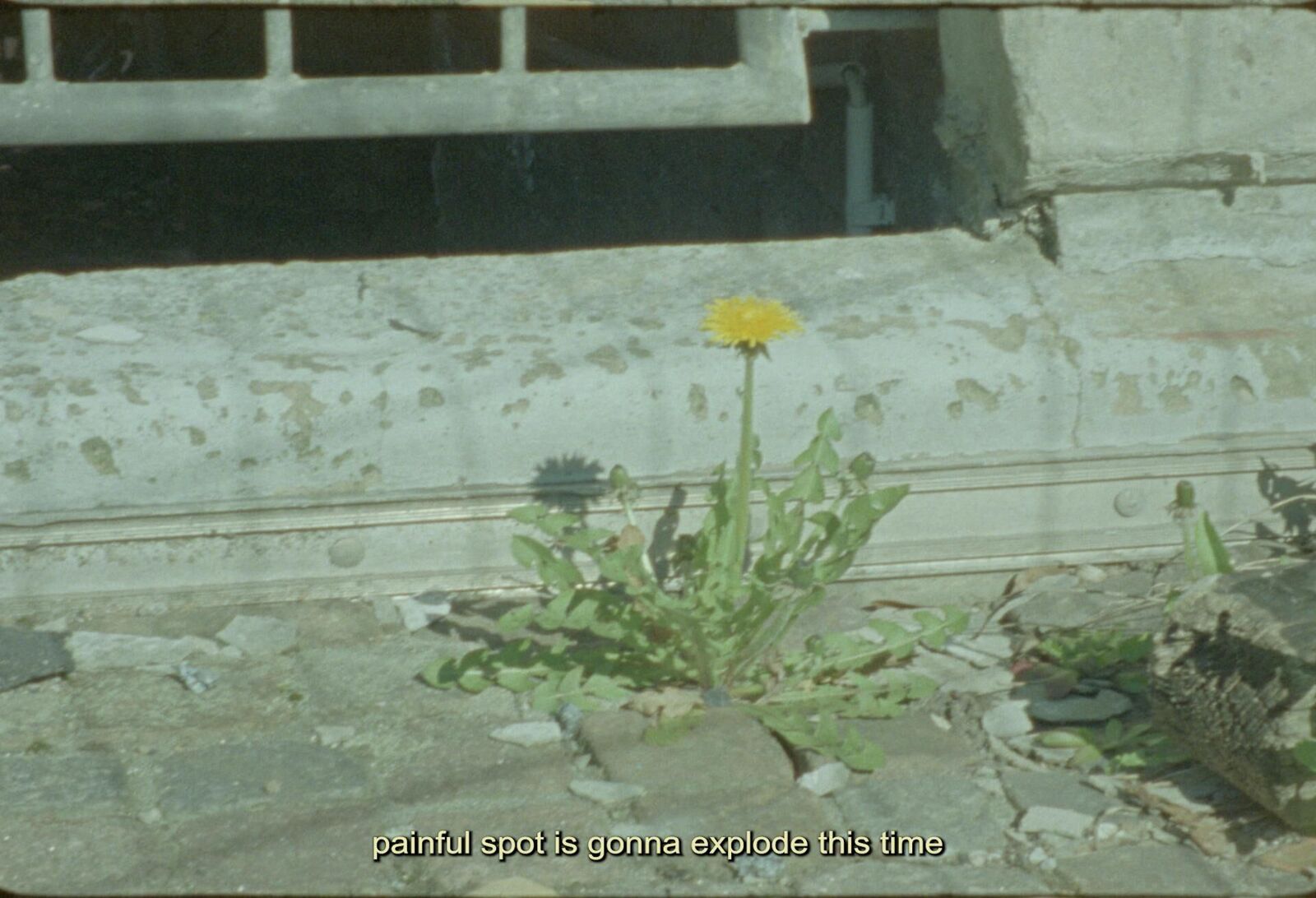 Titelbild des Projekts I carry them in me