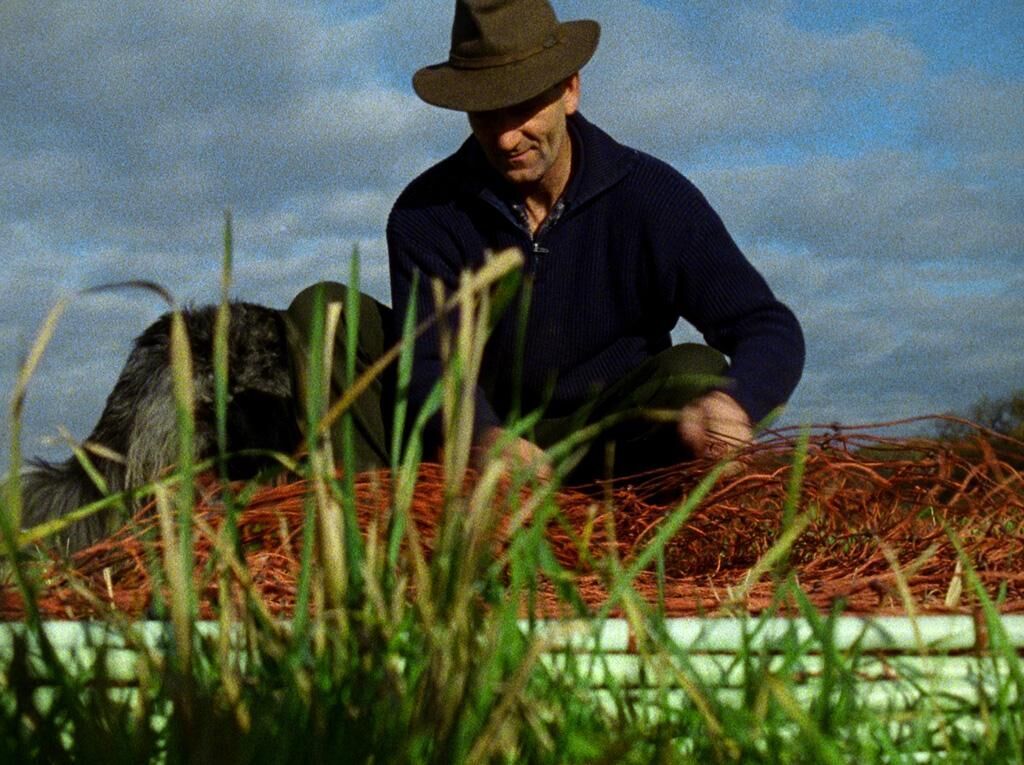 Galeriebild des Projekts Stadt Land Schaf