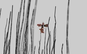 Galeriebild des Projekts The Invisible Warbler