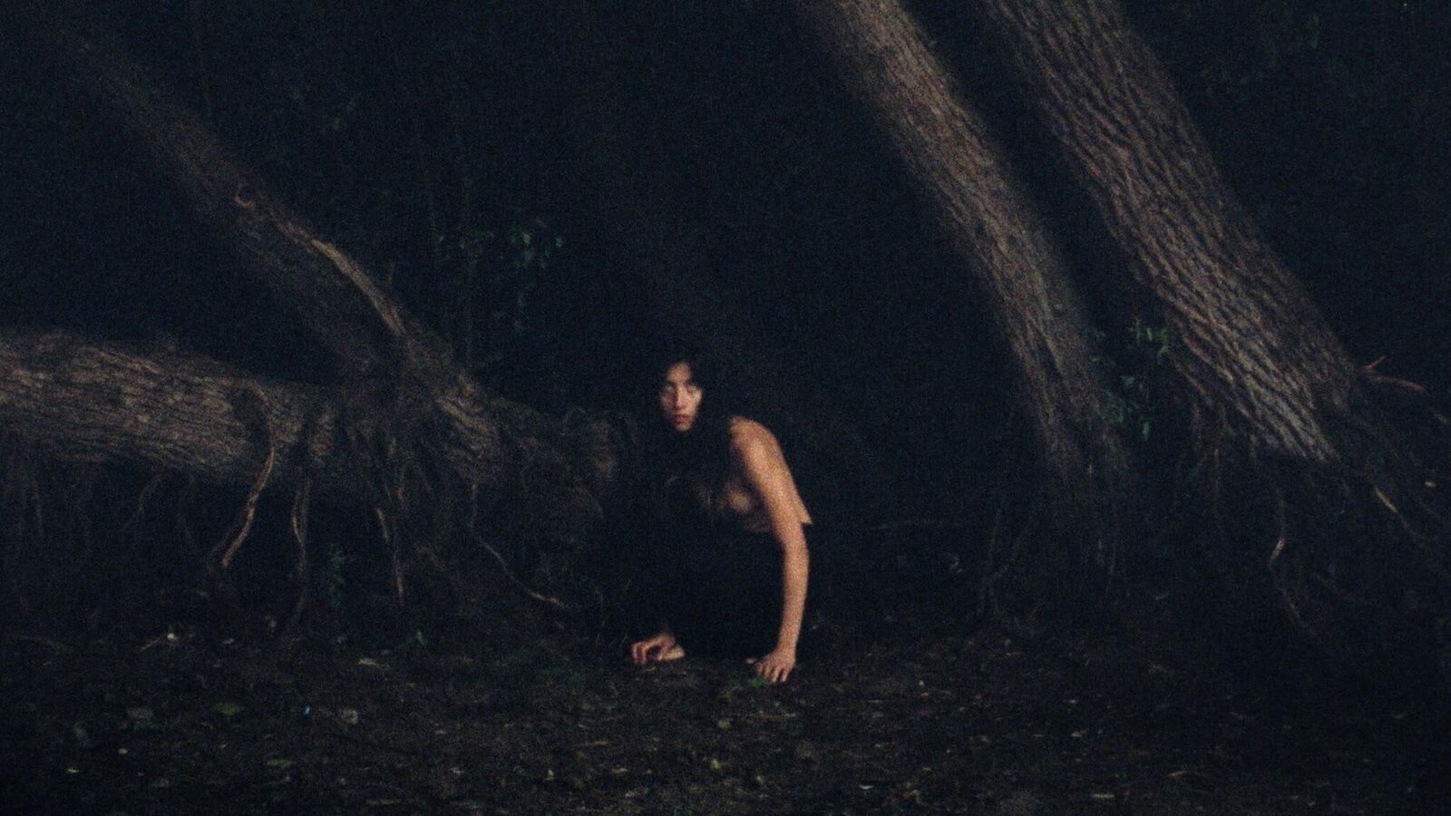 Galeriebild des Projekts Nido de Cocodrilo