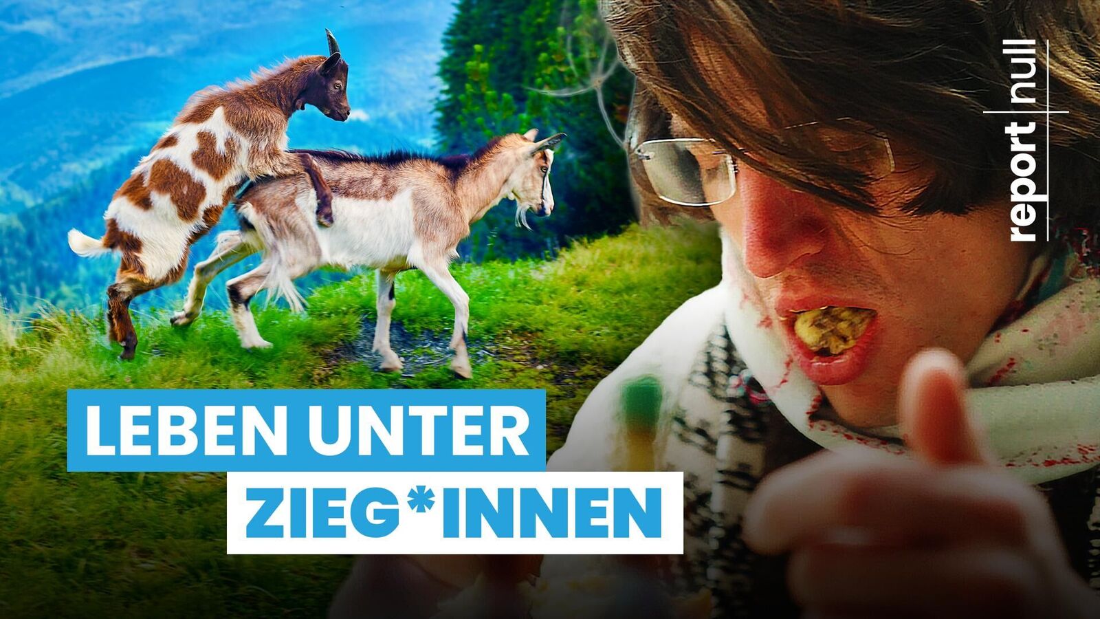 Titelbild des Projekts report null - Leben unter Zieg*innen