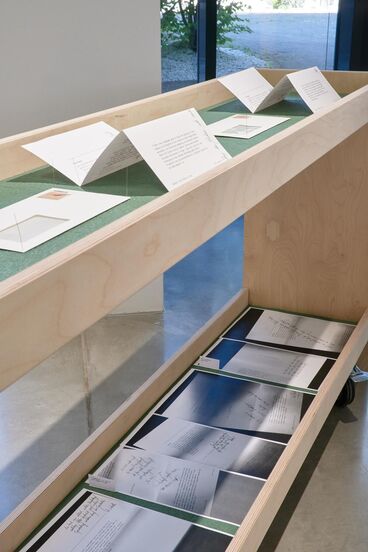 Galeriebild des Projekts Archives & Butterflies