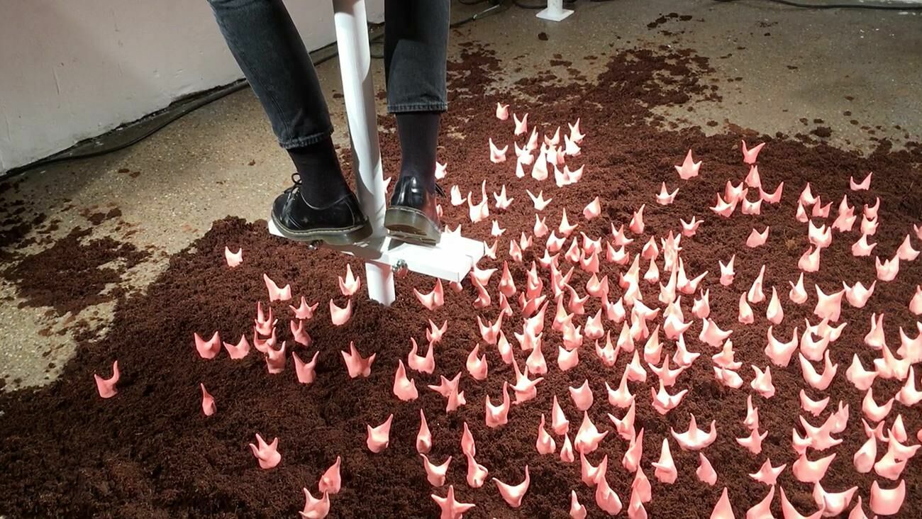 Galeriebild des Projekts Walter Palmer Shot A Lion: The Sequel